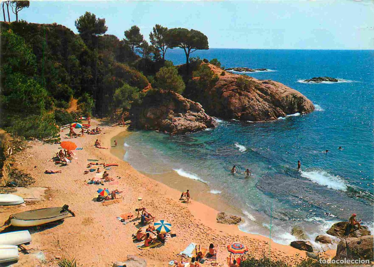Cartoline: Espagne - Espana - Cataluna - Costa Brava - Playa de Aro - Cala del Pi - Playa - Plage - CPM - Voir