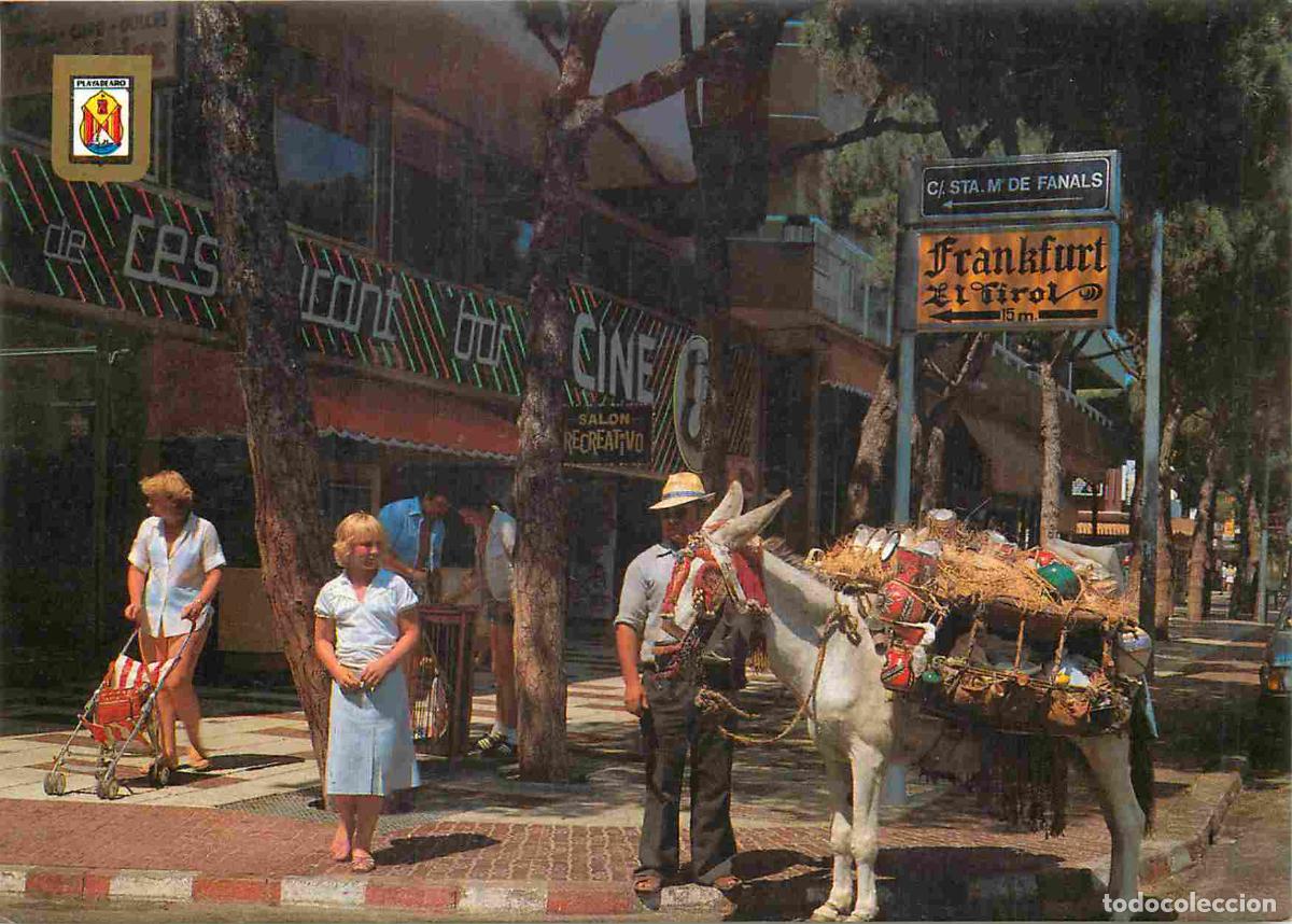 Postales: Espagne - Espana - Cataluna - Costa Brava - Platja d'Aro - Anes - Burros - Folklore - Commerces - CP