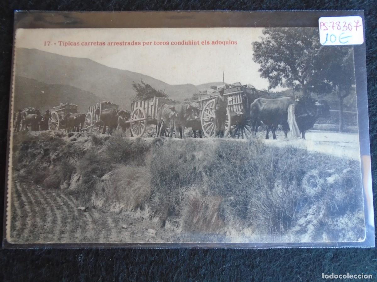 Postcards: (PS-78307)POSTAL TIPICAS CARRETAS ARRASTRADAS PER TOROS CONDUHINT ELS ADOQUINS.FOTOTIPIA THOMAS