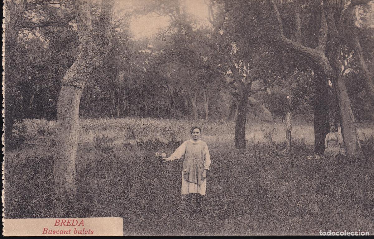 Postales: POSTAL BREDA - BUSCANT BULETS - L.ROISIN - Foto 1