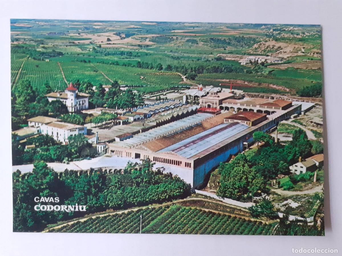 Postales: POSTAL - CAVAS CODORNIU EXTERIORES - S/C - Foto 1
