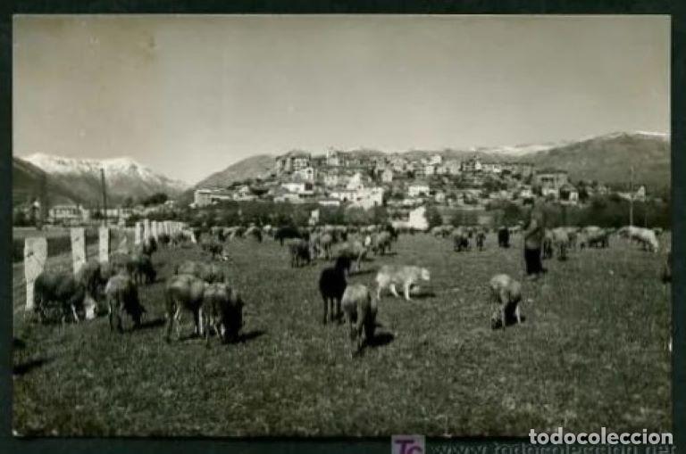 Postales: Puigcerd&agrave;. *Pradera* Ed. Com Prat n&ordm; 74. Circulada. - Foto 1