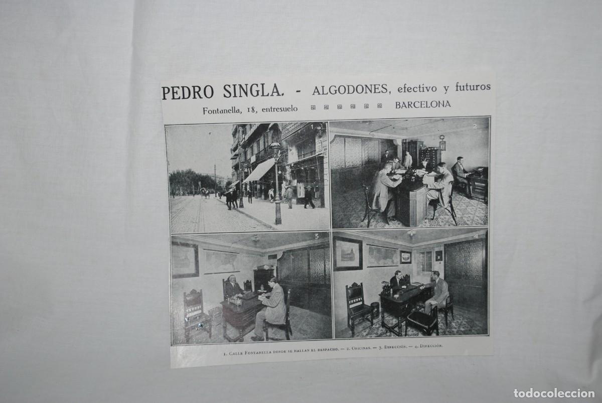 Postales: PEDRO SINGLA , ALGODONES , BARCELONA . - Foto 1