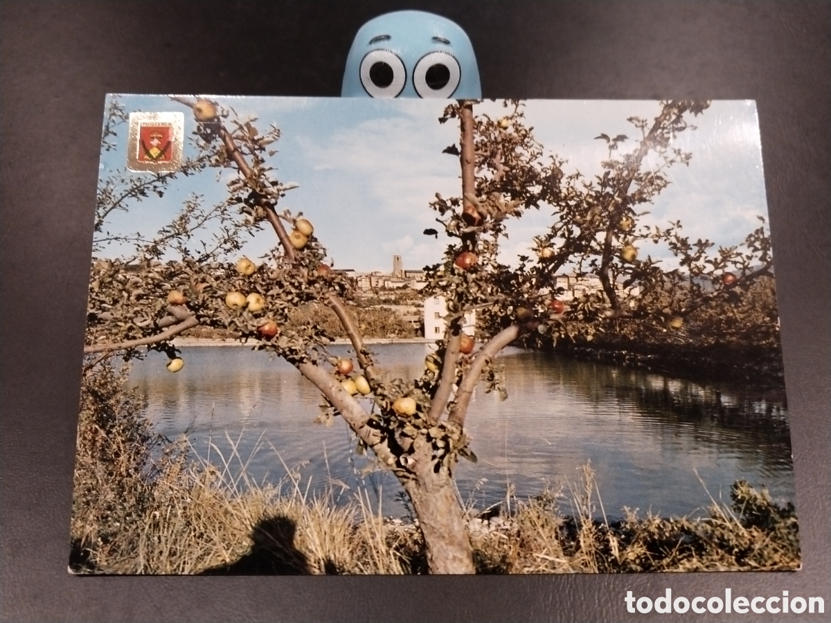 Postales: Postal de Puigcerd&agrave;. Lago - Foto 1