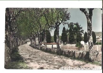 Postales: ANTIGUA POSTAL 5 MASNOU ALREDEDORES FOTO T TORRES 1957