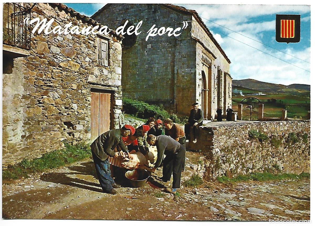 Postais: &rdquo; MATAN&Ccedil;A DEL PORC &rdquo;.- CATALUNYA TIPICA