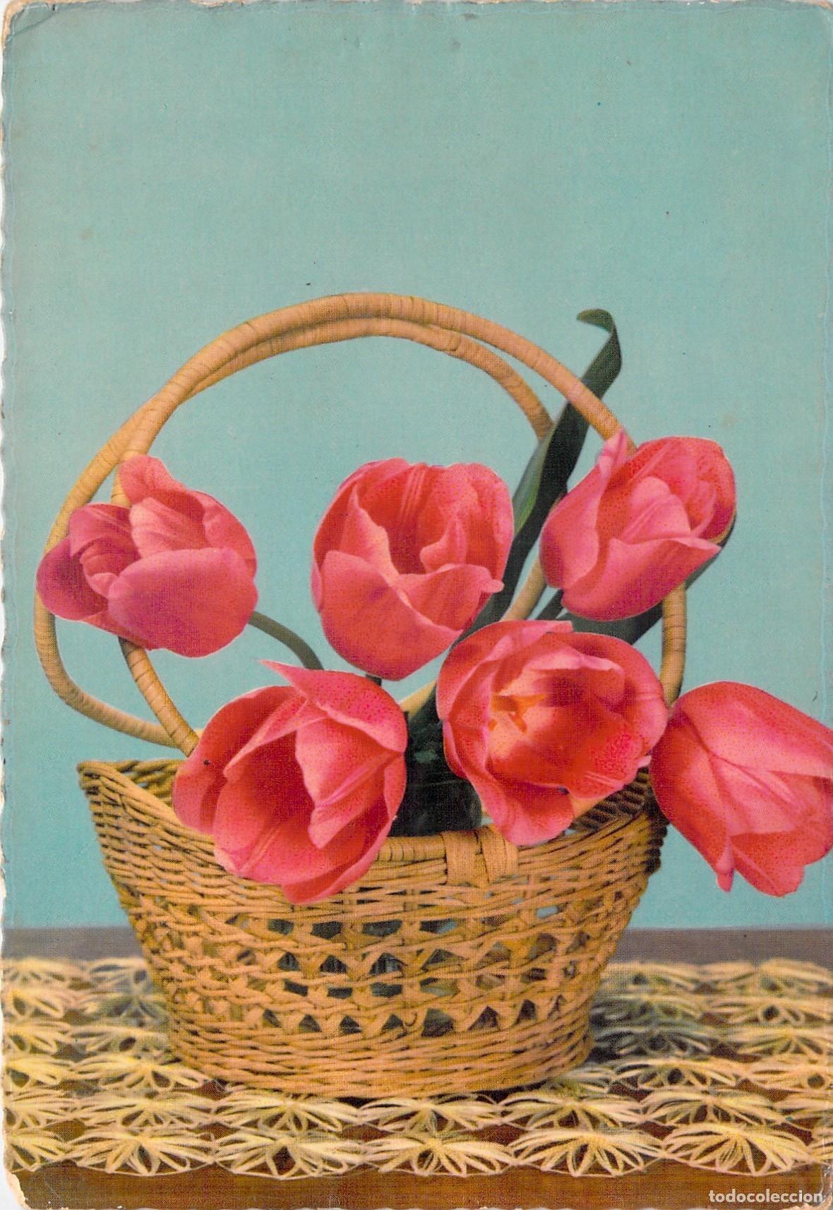 Postkarten: Postal de Naturaleza Muerta con Tulipanes Rosados en Cesta de Mimbre, Espa&ntilde;a