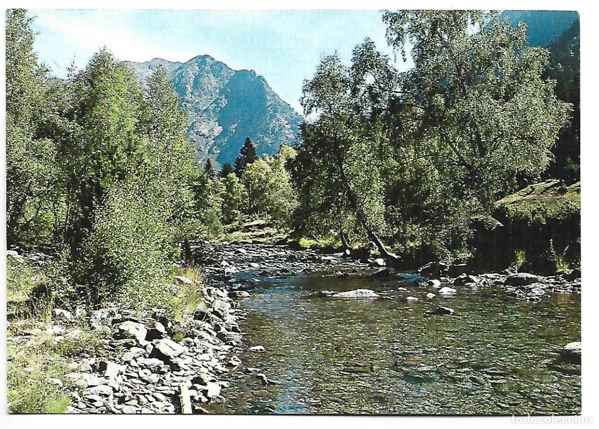 Postales: BOSQUE DE ABEDULES.- TABESCAN / LLEIDA - Foto 1
