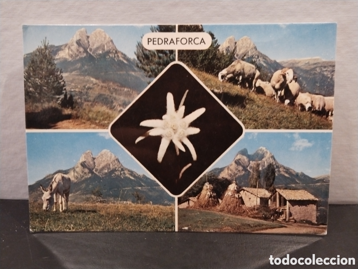 Postales: Postal del Pedraforca. Altura 2498m.