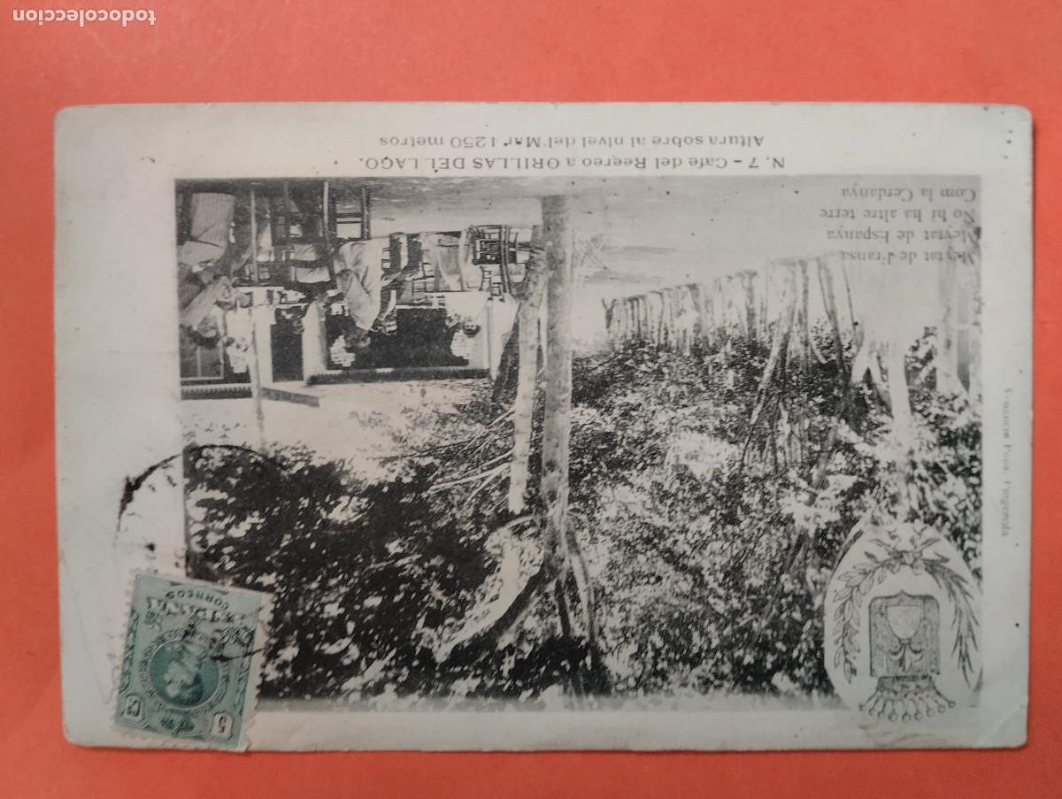 Postales: PUIGCERDA N&ordm;7 CAFE DEL REEREO A ORILLAS DEL LAGO ,EDC. VENANCIE PONS. REVERSO SIN DIVIDIR.