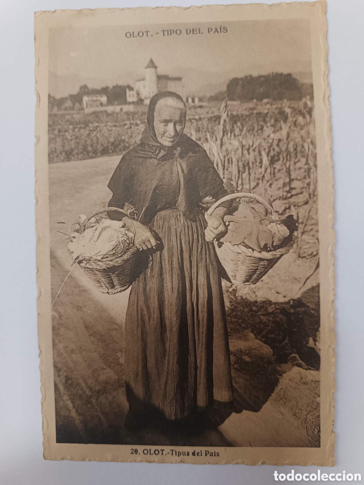 20 OLOT. Tipus del Pais