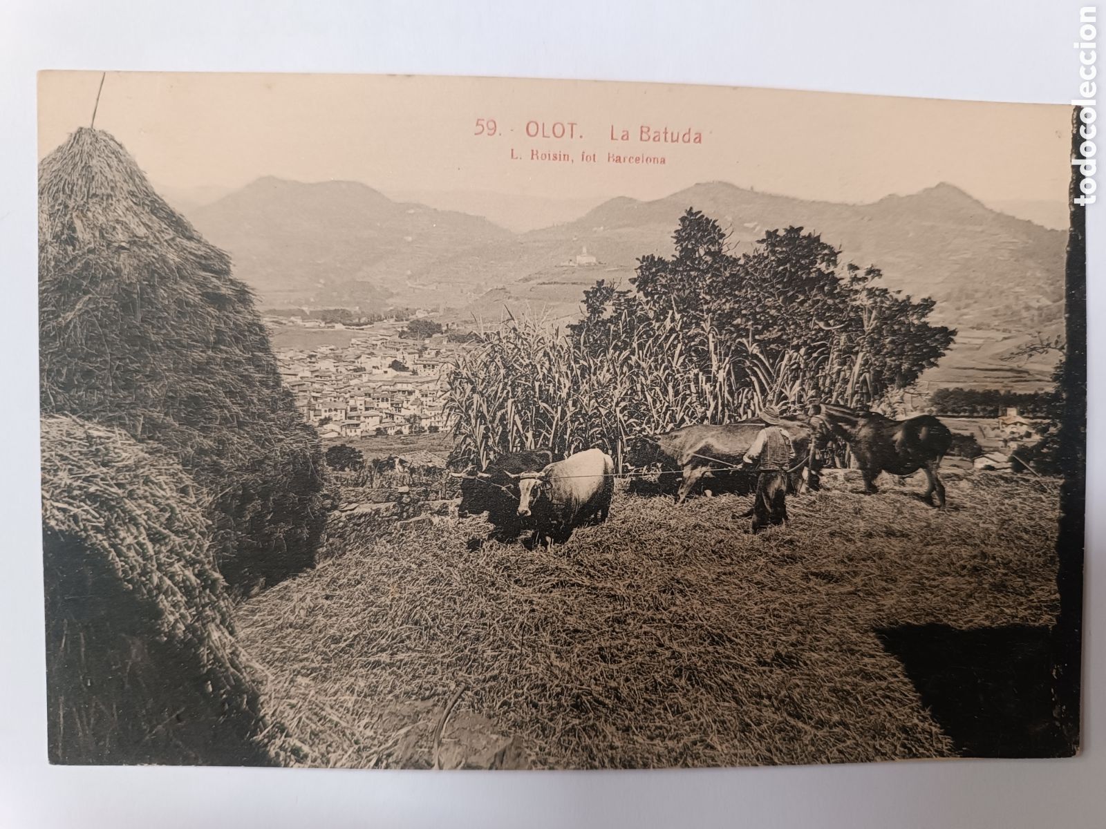 Postales: 59 OLOT. La Batuda. (Bous)