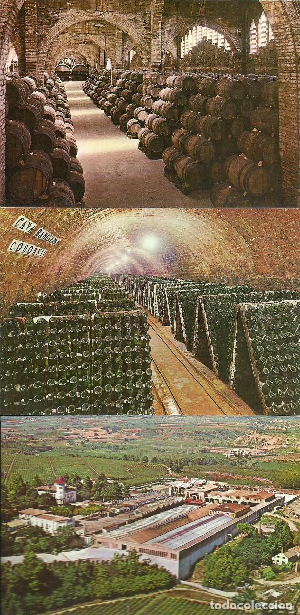 Postales: 8 tarjetas postales en estuche de las Cavas Codorniu - Foto 2