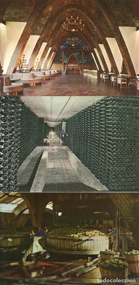 Postales: 8 tarjetas postales en estuche de las Cavas Codorniu - Foto 3