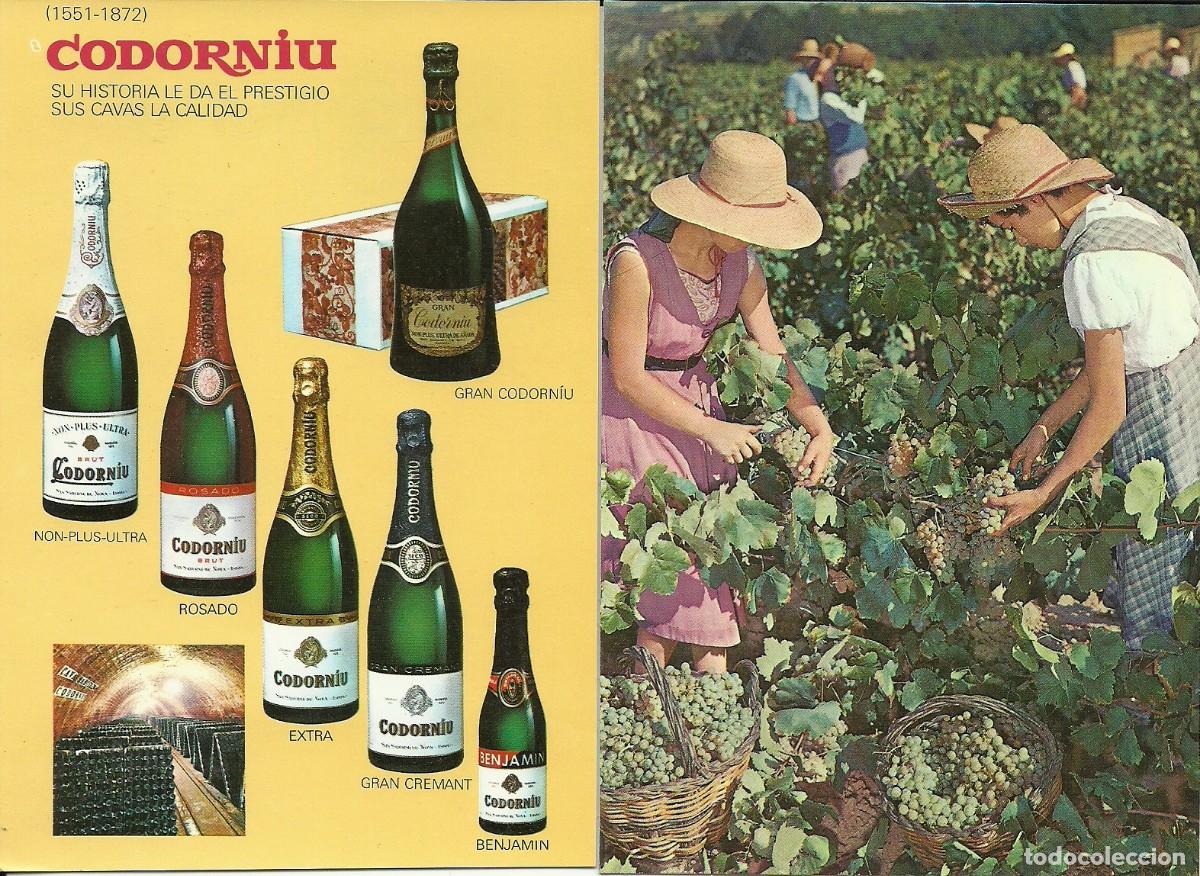 Postales: 8 tarjetas postales en estuche de las Cavas Codorniu - Foto 4