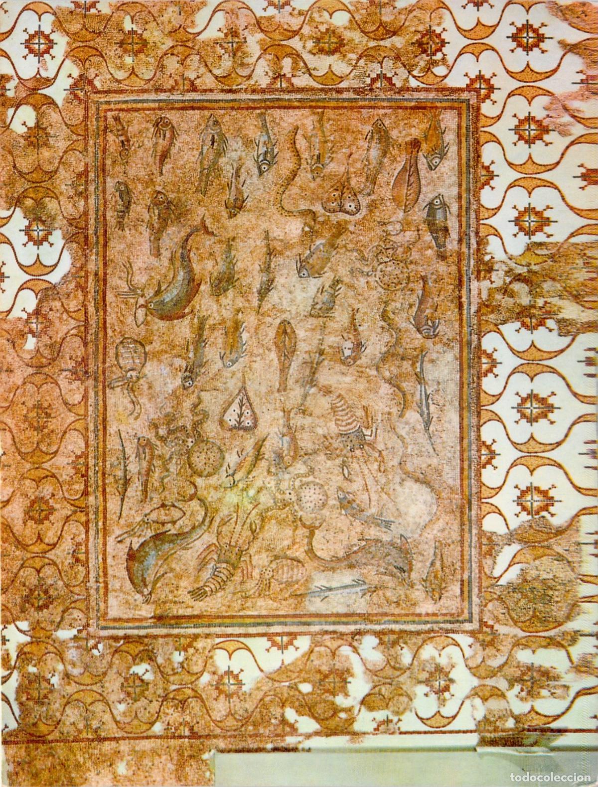 Postcards: Postal Mosaico Romano con Peces Tarragona Museo Arqueol&oacute;gico Nacional