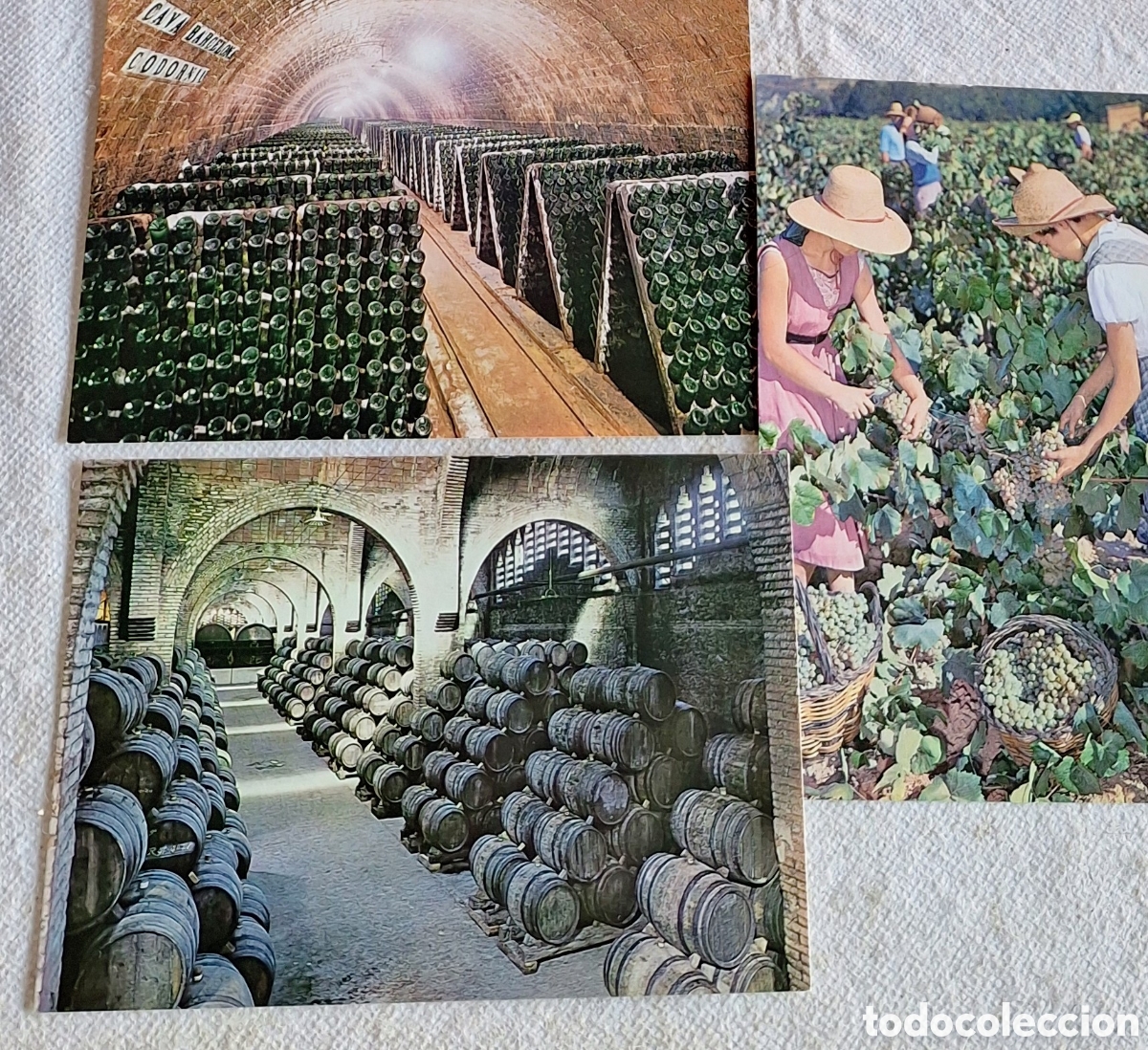 Postales: Juego 6 tarjetas postales de Codorniu - Foto 4