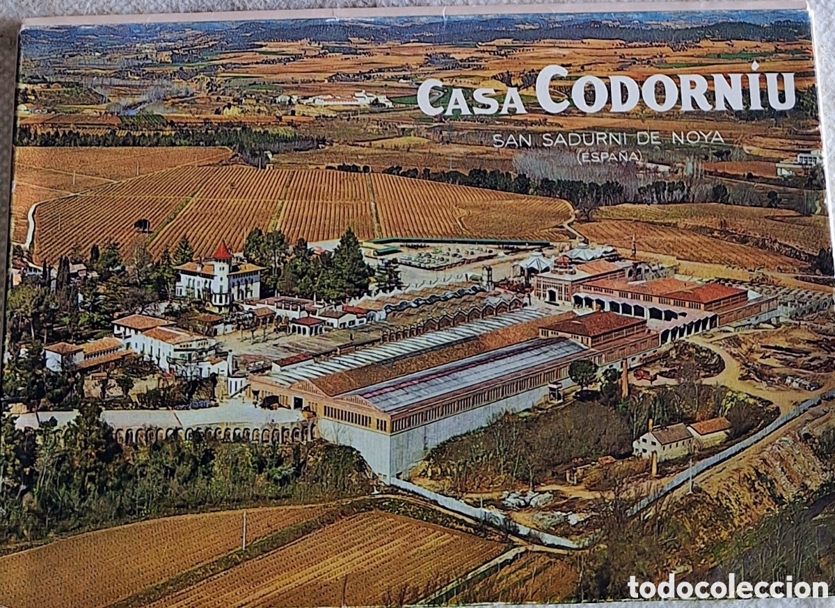 Postales: Juego 6 tarjetas postales de Codorniu - Foto 1