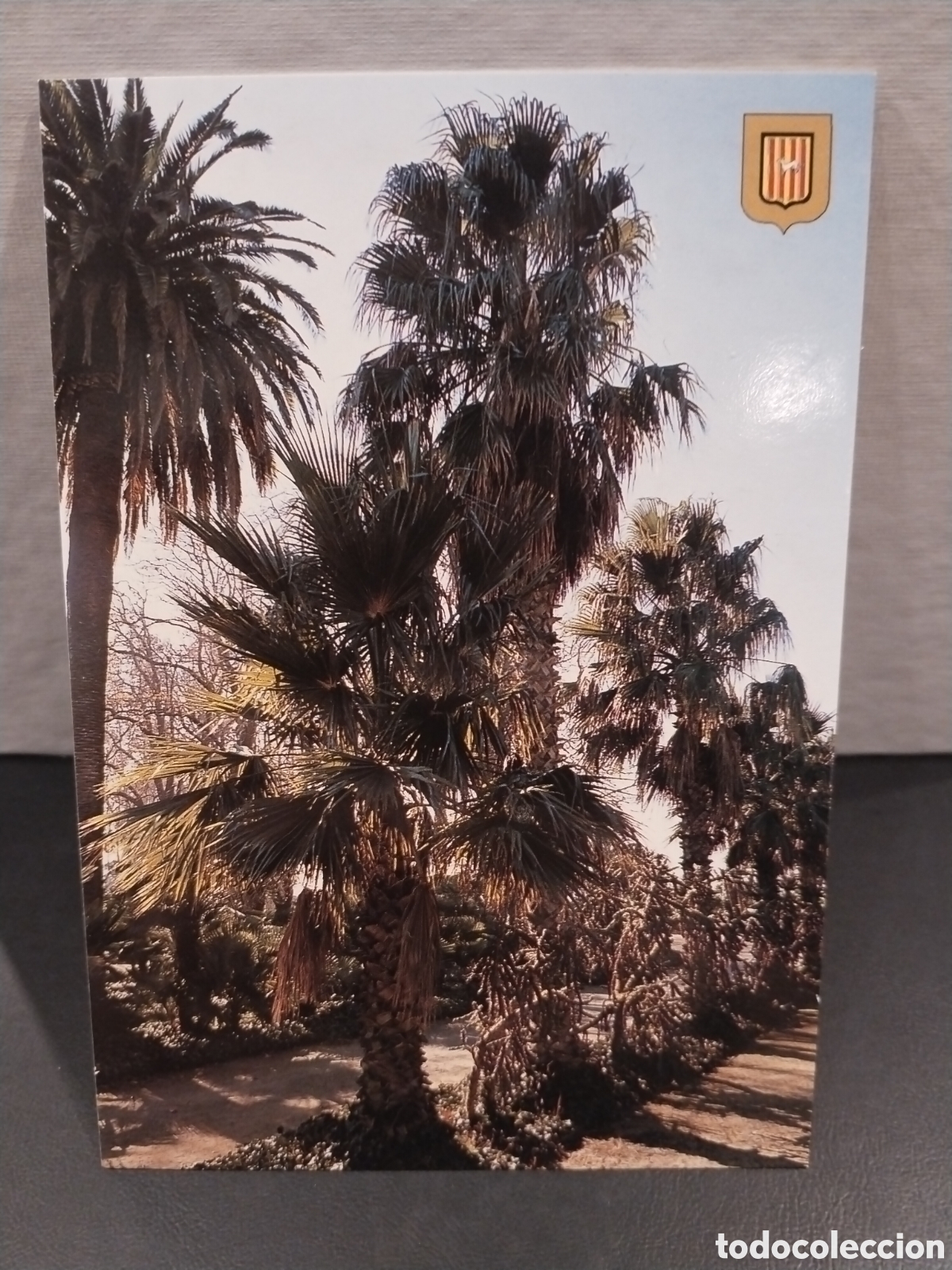 Cartoline: Postal de Cambrils. Parc Sama. Vista Palmeres