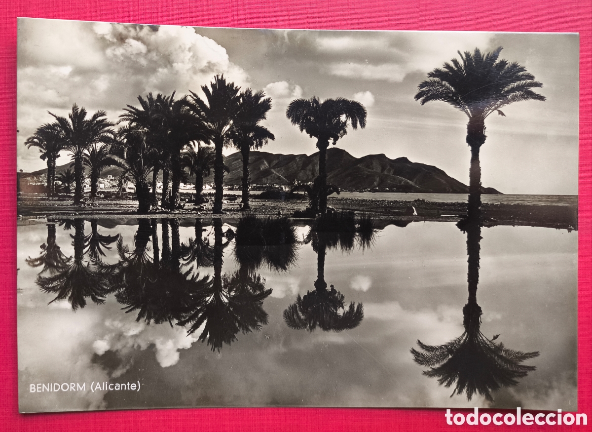 Postales: BENIDORM POSTAL FOTOGR&Aacute;FICA FOTOGRAF&Iacute;A MARVELLI ALACANT C. 1955