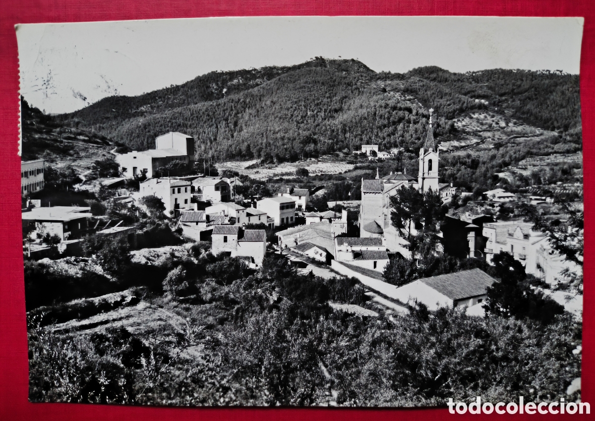Postales: TORRELLES DE LLOBREGAT VISTA DESDE EL BOSQUE POSTAL FOTOGR&Aacute;FICA C. 1965