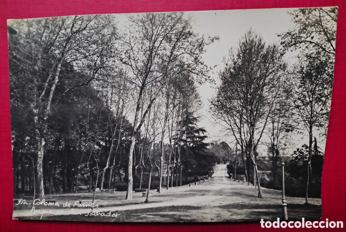 Postales: SANTA COLOMA DE FARNERS PARC SANT SALVADOR POSTAL FOTOGR&Aacute;FICA LA SELVA GIRONA C. 1955