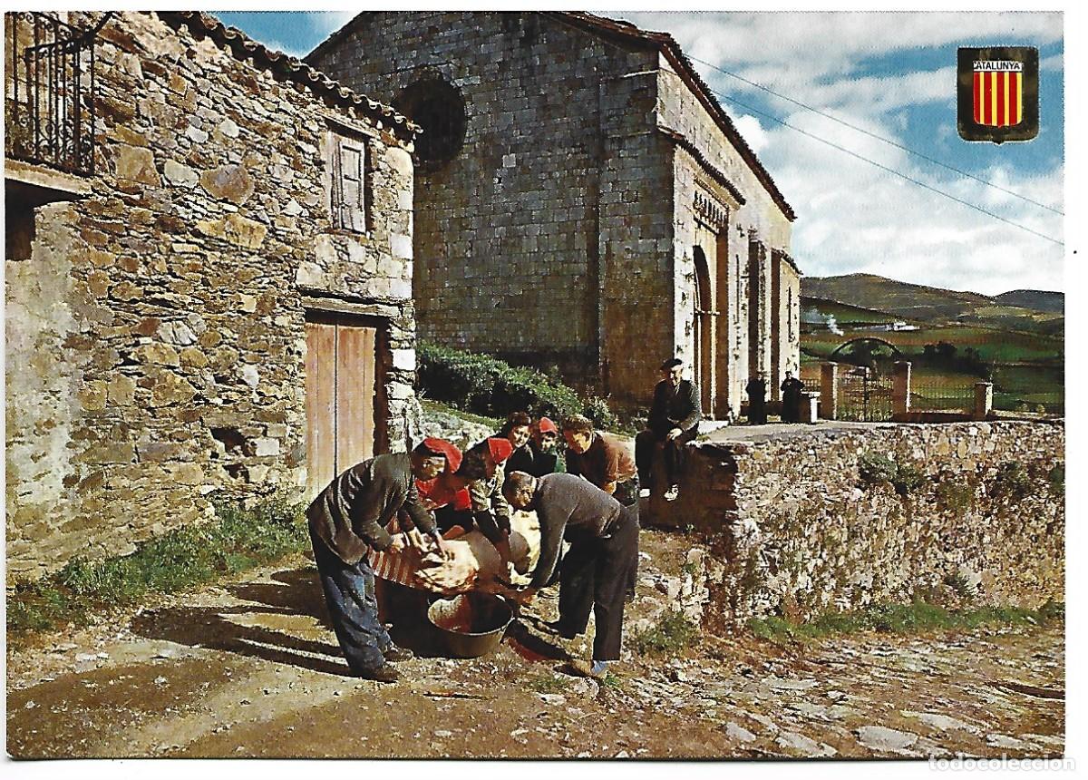 Cartoline: MATAN&Ccedil;A DEL PORC A MOLLO / SLAUGHTER OF THE PIG IN MOLLO.- CATALUNYA TIPICA