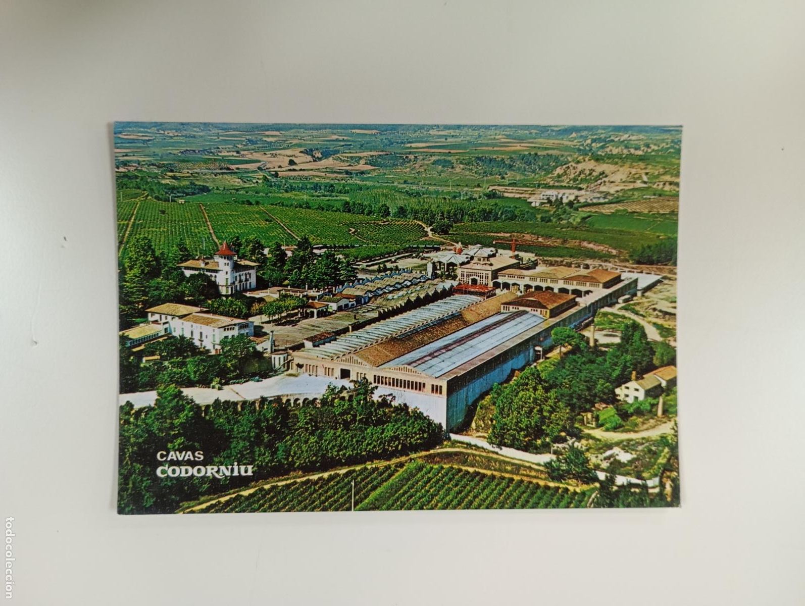 Postales: POSTAL CAVAS CODORNIU. EXTERIORES BODEGA. TDKP28D - Foto 1