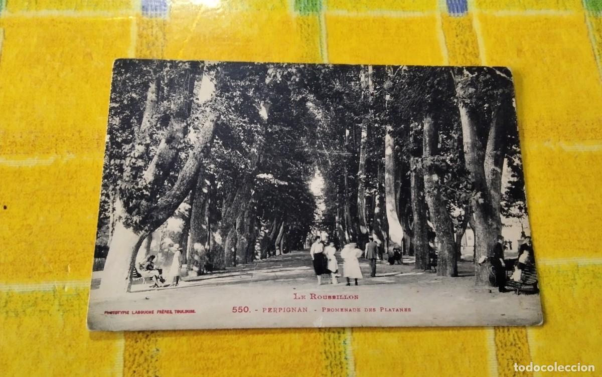 Postales: PERPIGNYA ,POSTAL ANTIGUA , BLANCO Y NEGRO - Foto 1