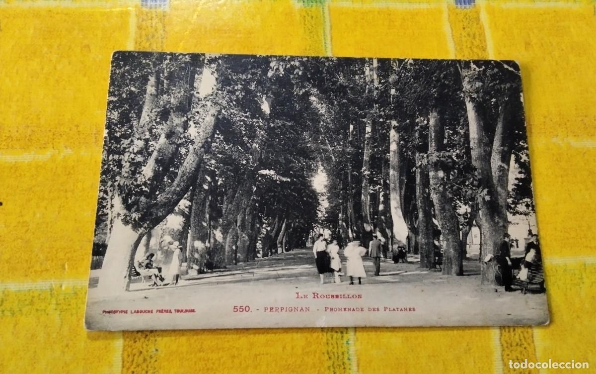 Postales: PERPIGNYA ,POSTAL ANTIGUA , BLANCO Y NEGRO - Foto 2