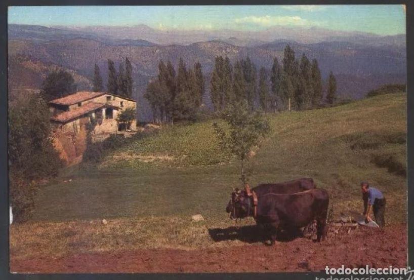 Postales: *Paisajes Espa&ntilde;oles. Pirineos* Ed. Ro-Foto n&ordm; 803. Nueva.