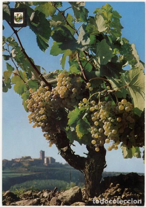 Cartes Postales: m011397 Artes Bodega Cooperativa Artium 1968 Escudo De Oro N&ordm;2 sc