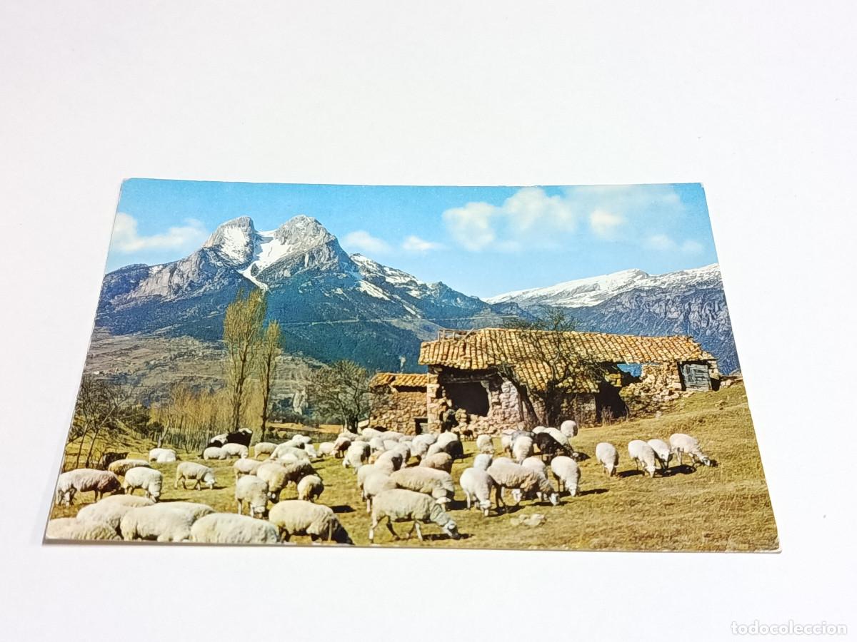 Postales: BERGUED&Agrave; - POSTAL SALDES - PEDRAFORCA - Foto 1