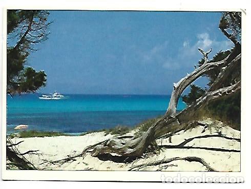 Postales: &rdquo; MEDITERRANEA &rdquo;.... - Foto 1
