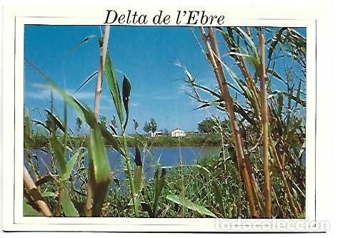 Postales: DELTA DE L`EBRE.- TARRAGONA - Foto 1