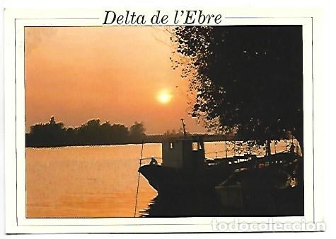 Postales: DELTA DE L&acute;EBRE - TARRAGONA - Foto 1