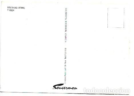 Postales: DELTA DE L&acute;EBRE - TARRAGONA - Foto 2