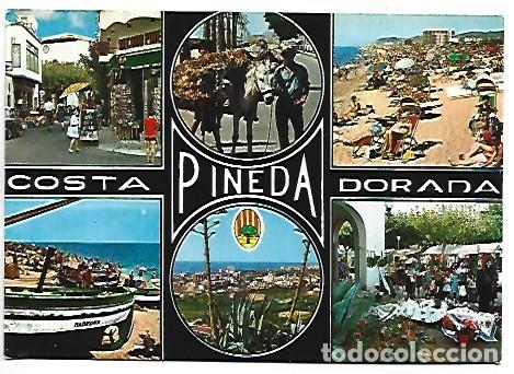 Postales: PINEDA DE MAR / BARCELONA - Foto 1