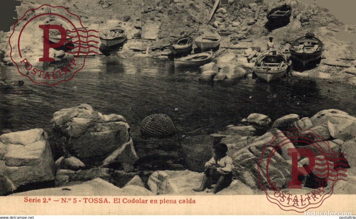 Postales: TOSSA EL CODOLAR EN PLENA CALDA GERONA CATALU&Ntilde;A ESPA&Ntilde;A - Foto 1