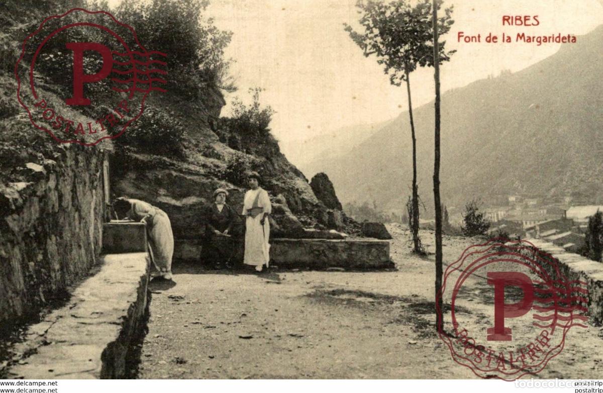 Postales: RIBES FONT MARGARIDETA - Foto 1