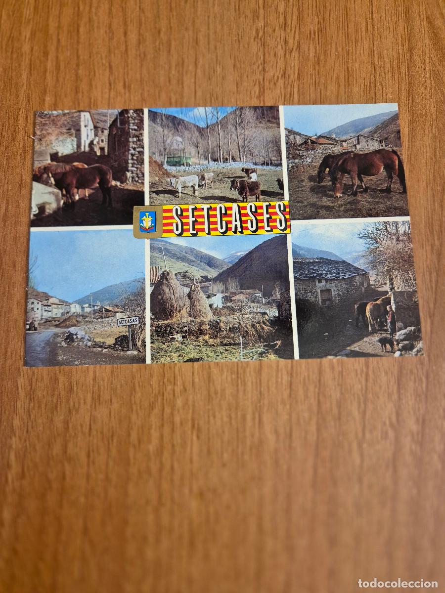 Postales: POSTAL SETCASES DIFERENTS ASPECTES SIN CIRCULAR. - Foto 1