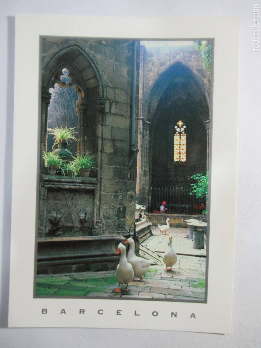 Postales: Barcelona - Claustre de La Catedral - S/C - Foto 1