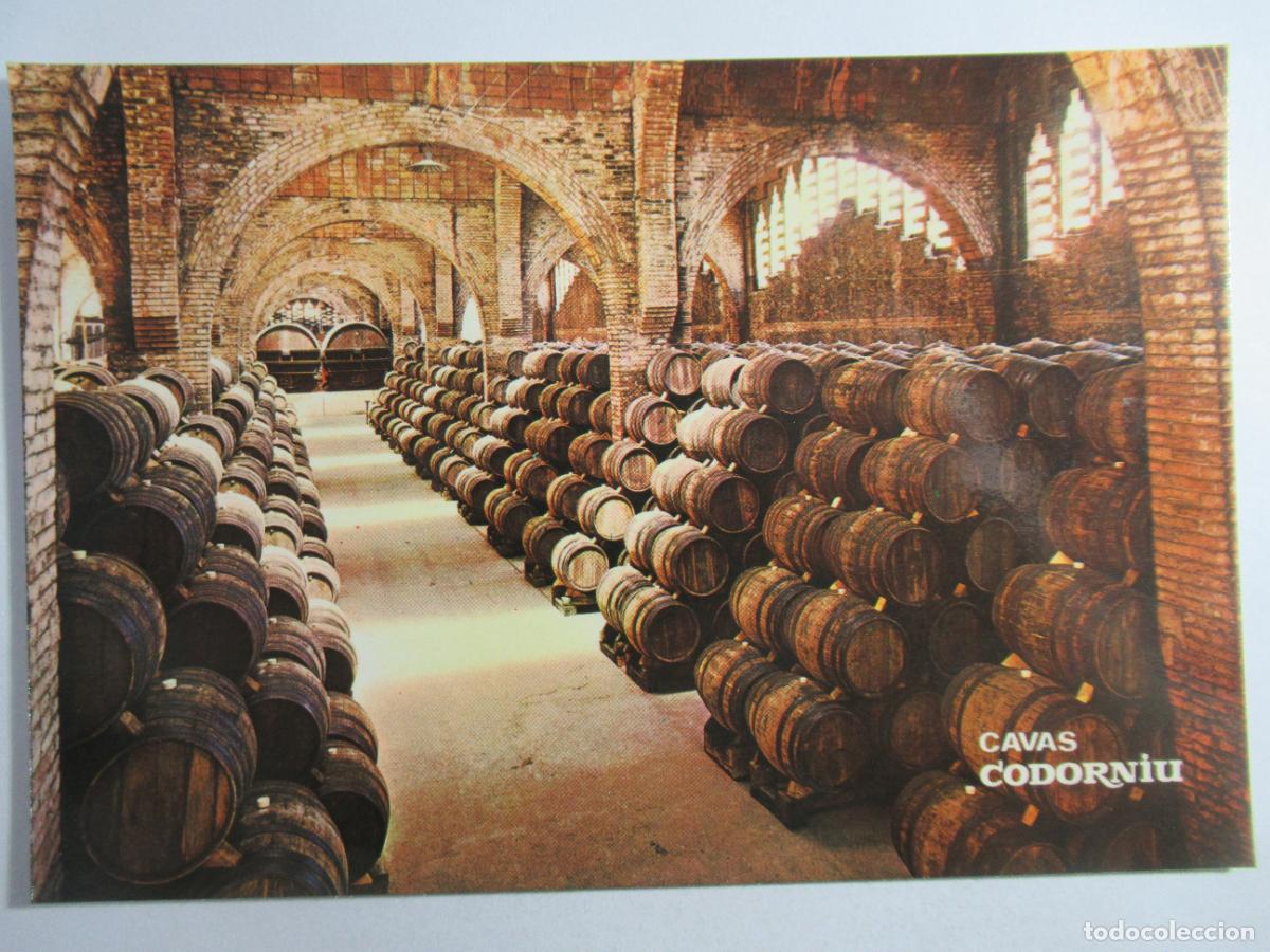 Postales: Cavas Codorniu - Una bodega - S/C - Foto 1