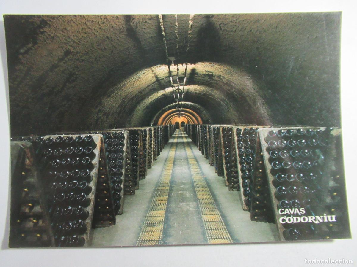 Postales: Cavas Codorniu - Botellas en Pupitre - S/C - Foto 1