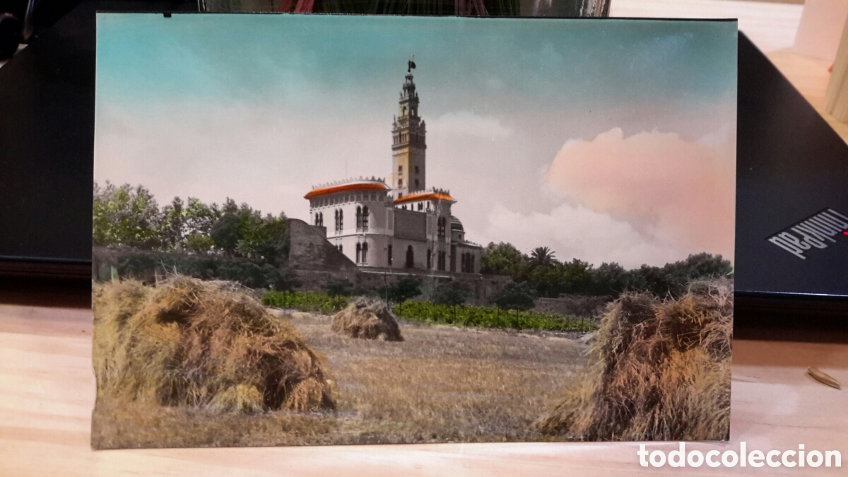 Postales: Postal - Arbos vista general - Foto 1