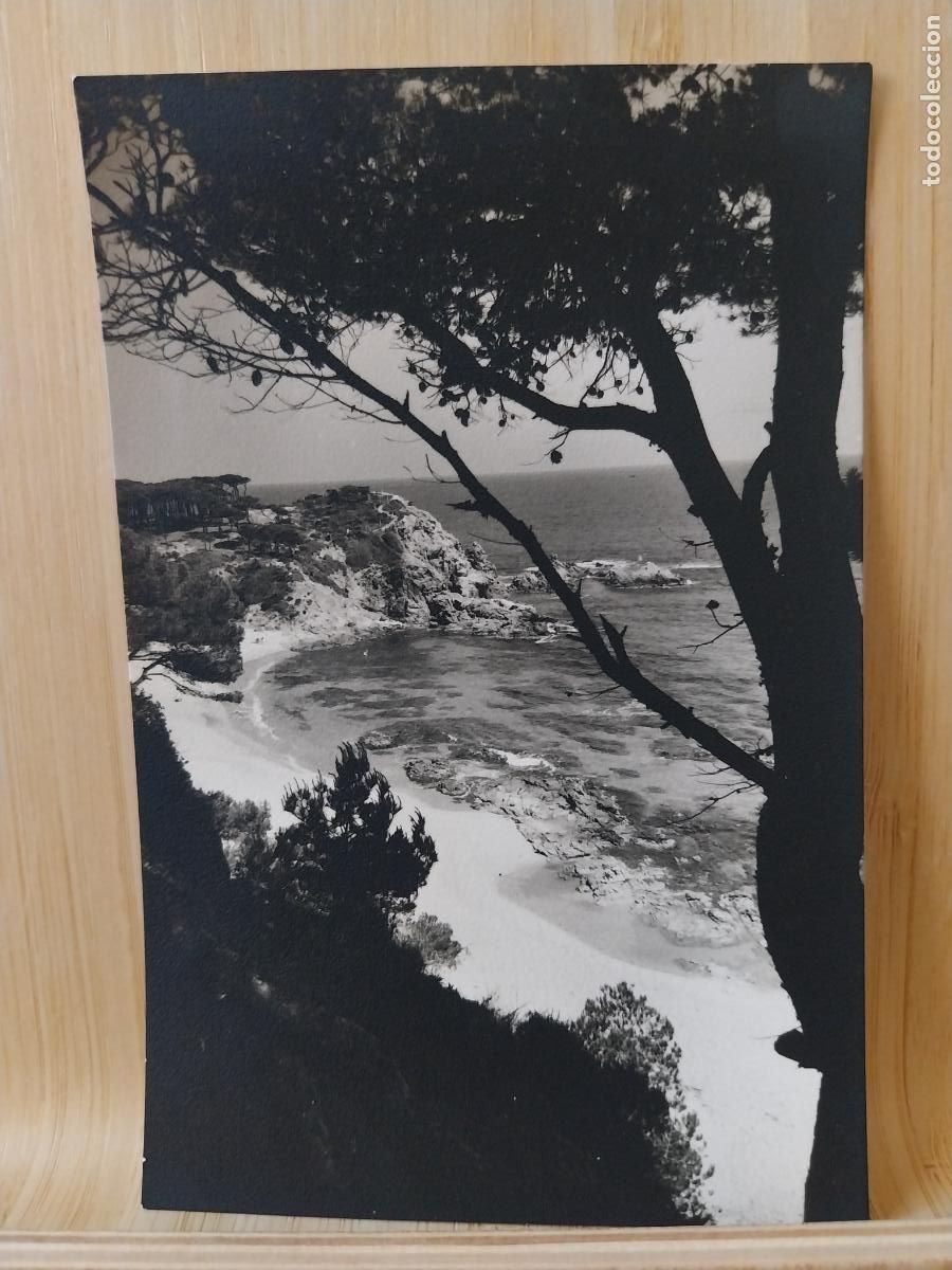 Postales: SAGARO PUNTA PRIMA ED R GASS&Oacute; 235 SC ORIGINAL