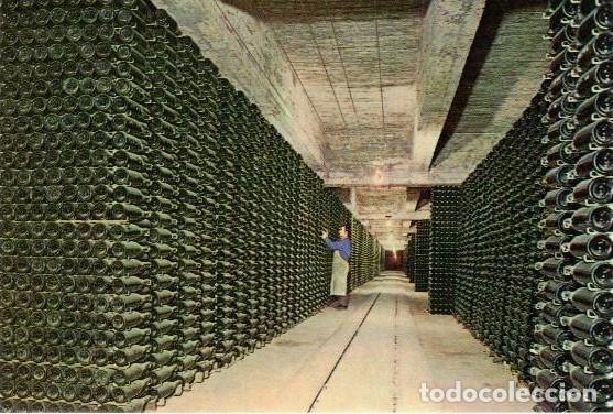 Postales: :::: PH240 - POSTAL - CAVAS CODORNIU - Foto 1