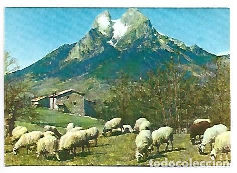 Postales: BERGA, PEDRAFORCA.- SALDES - Foto 1