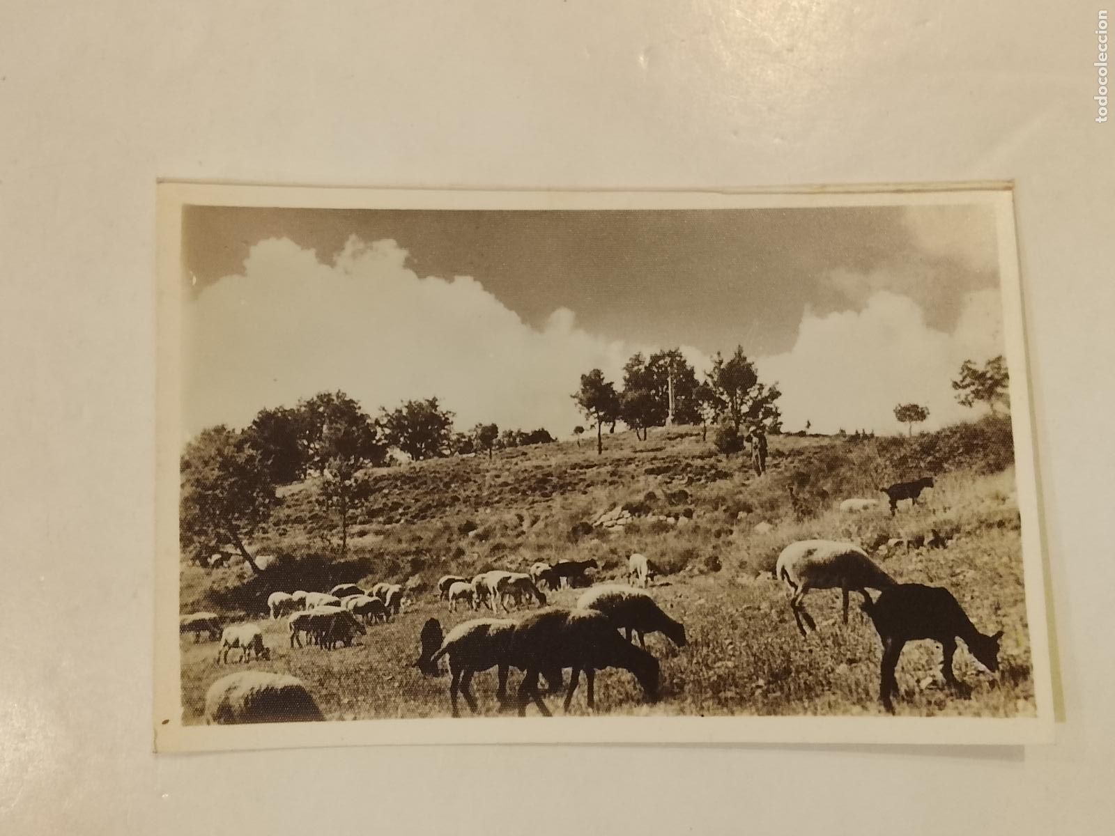 Postales: SANTA MARIA DEL MIRACLE - PAISATGE - FOTOGRAFICA -POSTAL ANTIGUA-(115.247)