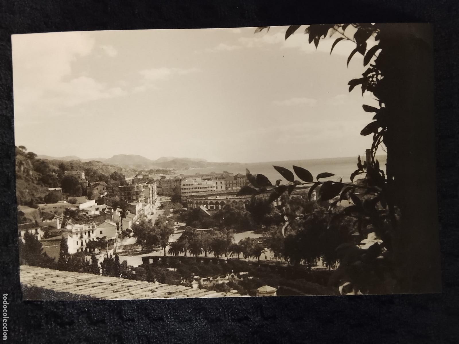 Postales: MALAGA - FOTOGRAFIA TIPO POSTAL ANTIGUA -(115.453 -1)